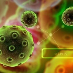 Viruses that antimicrobial coatings help protect against.